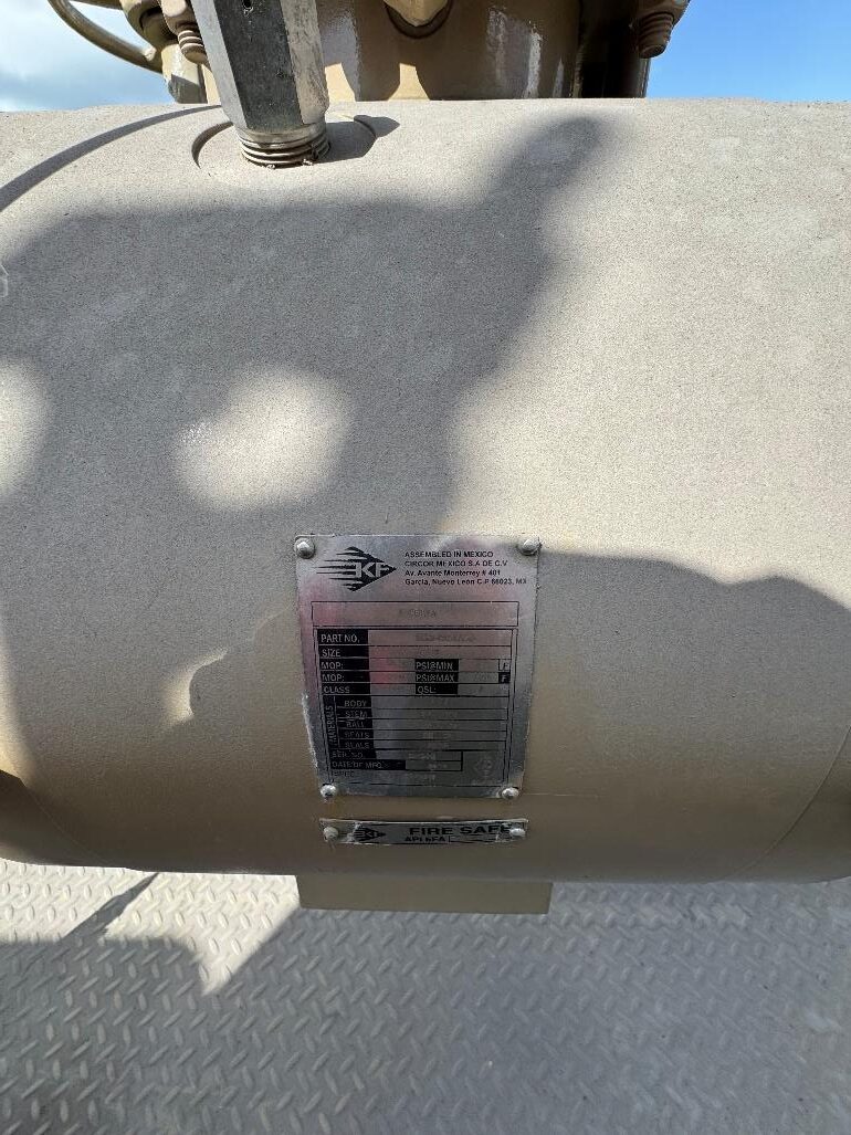 10”, 600# BUYBACK ULTRASONIC METER STATION (9)